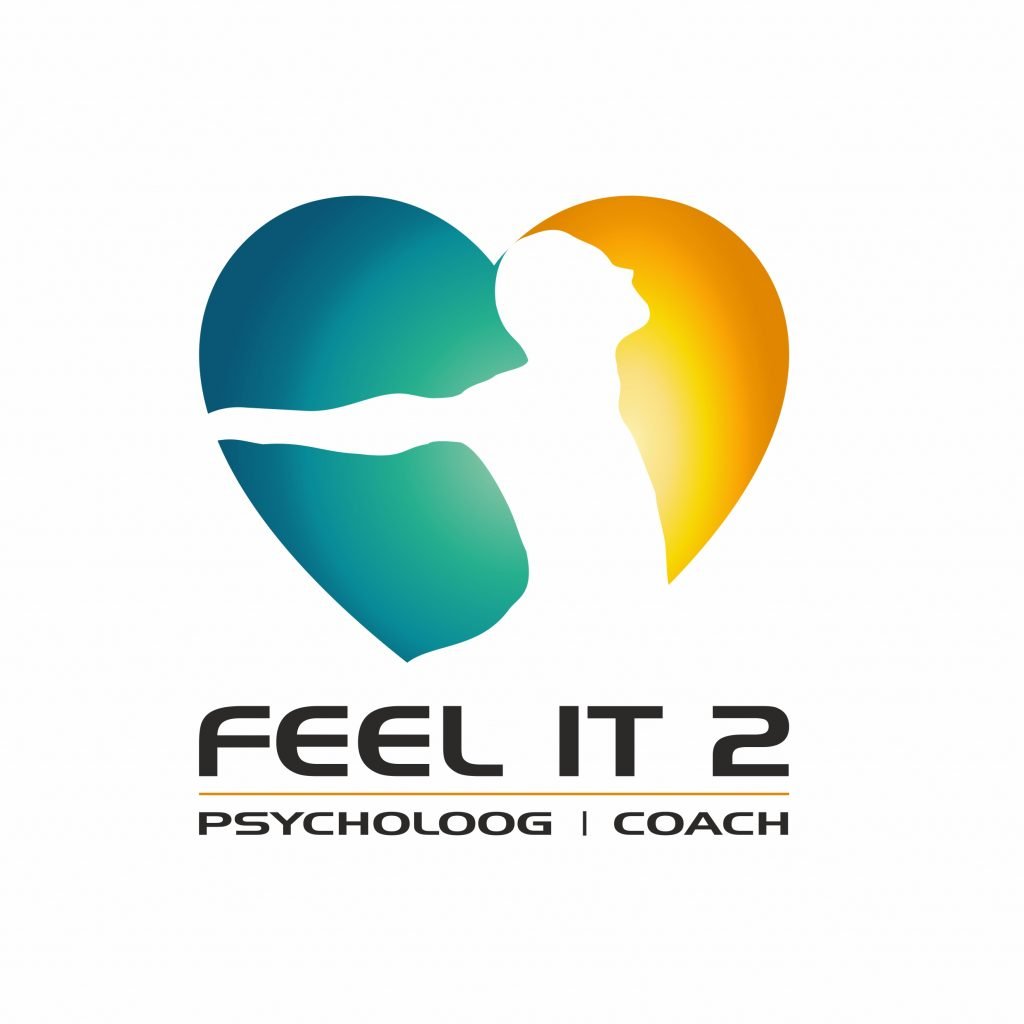 Steffie van Moorsel - Werkervaring - Feel It 2